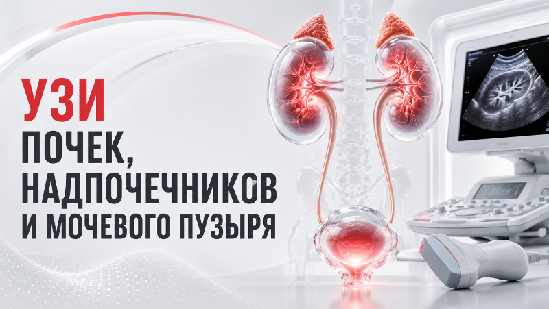 Процедура УЗИ мочевого пузыря в Нефертити, Хабаровск


